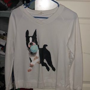 Dog sweatshirt (small)